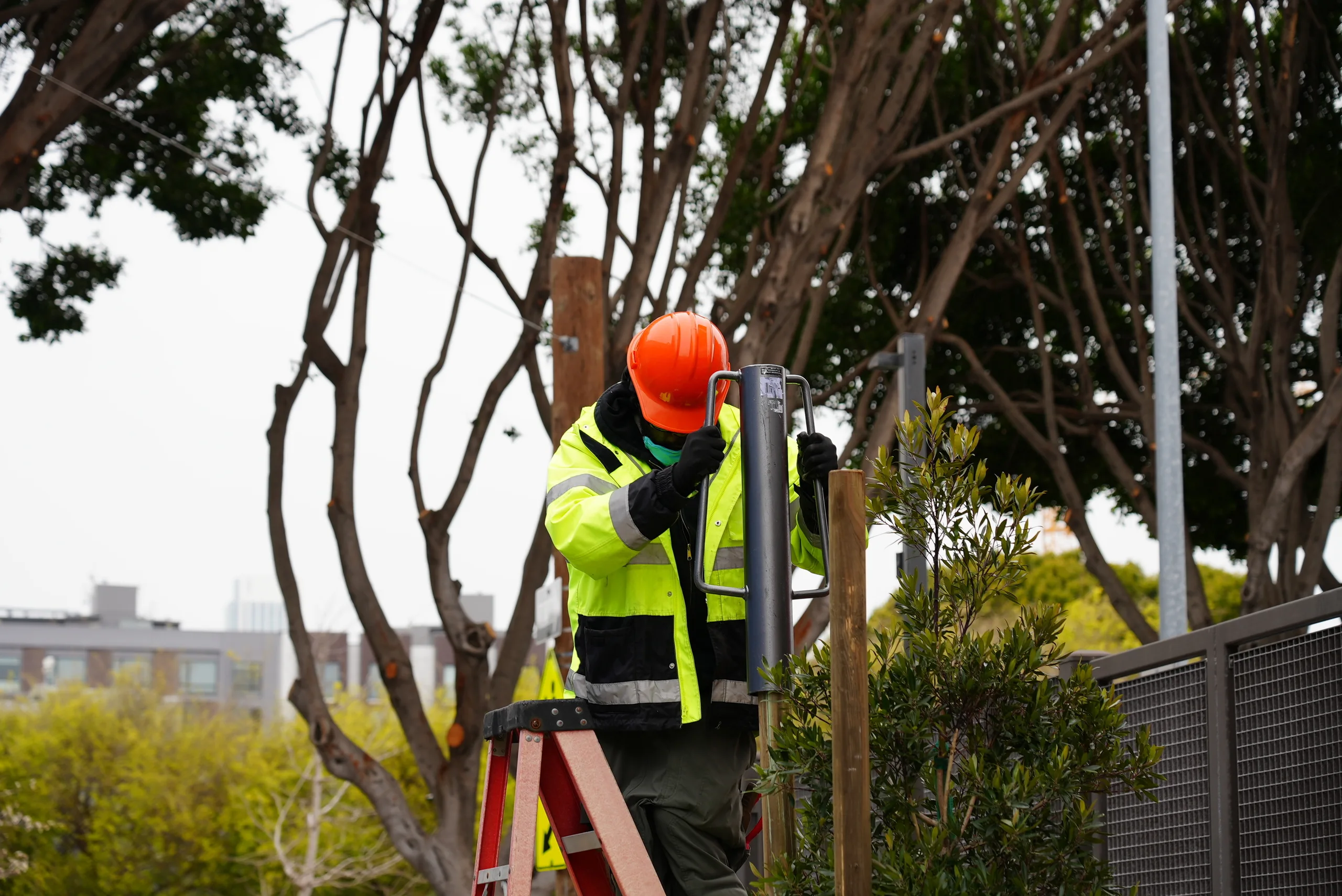 SF Arbor Day tree planting event