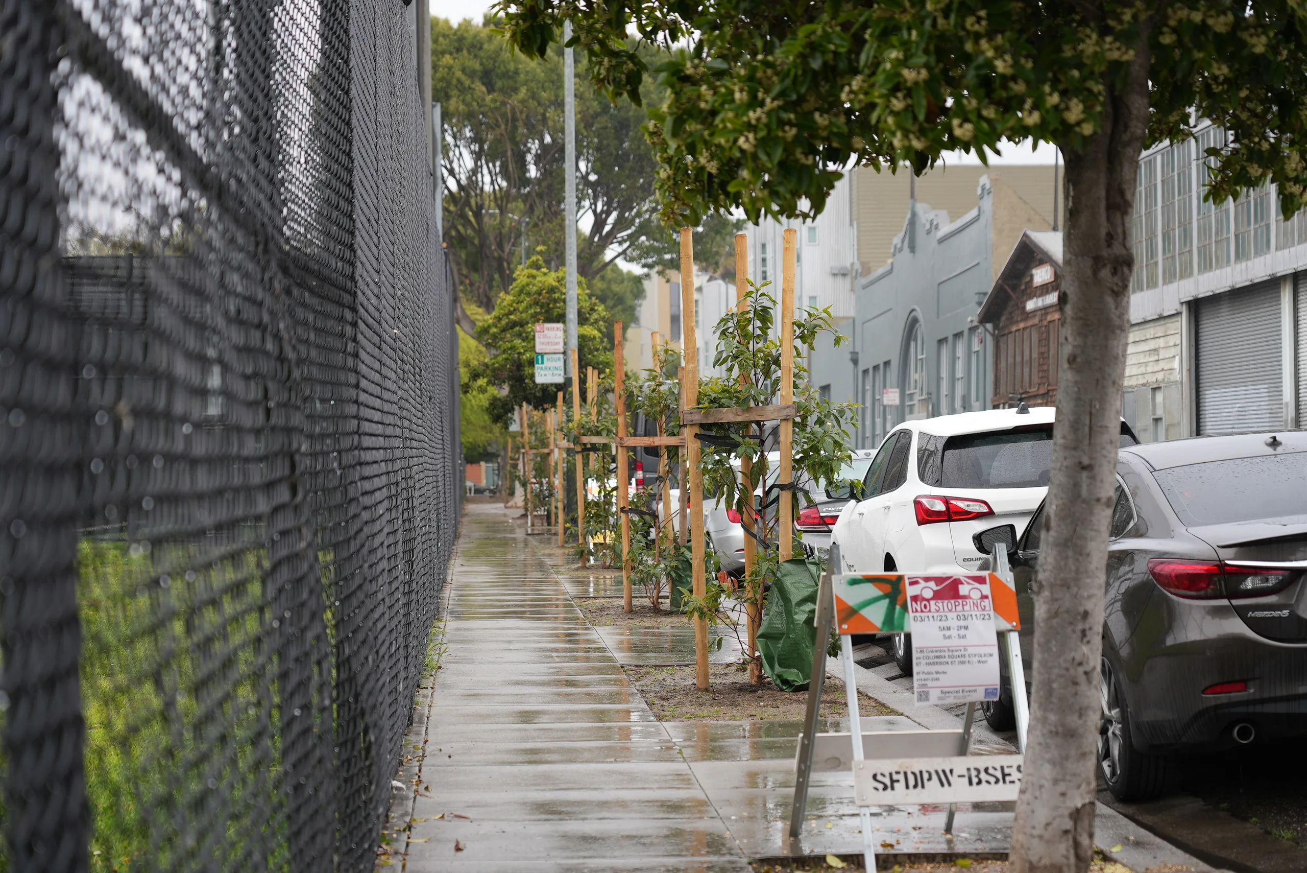 SF Arbor Day tree planting event